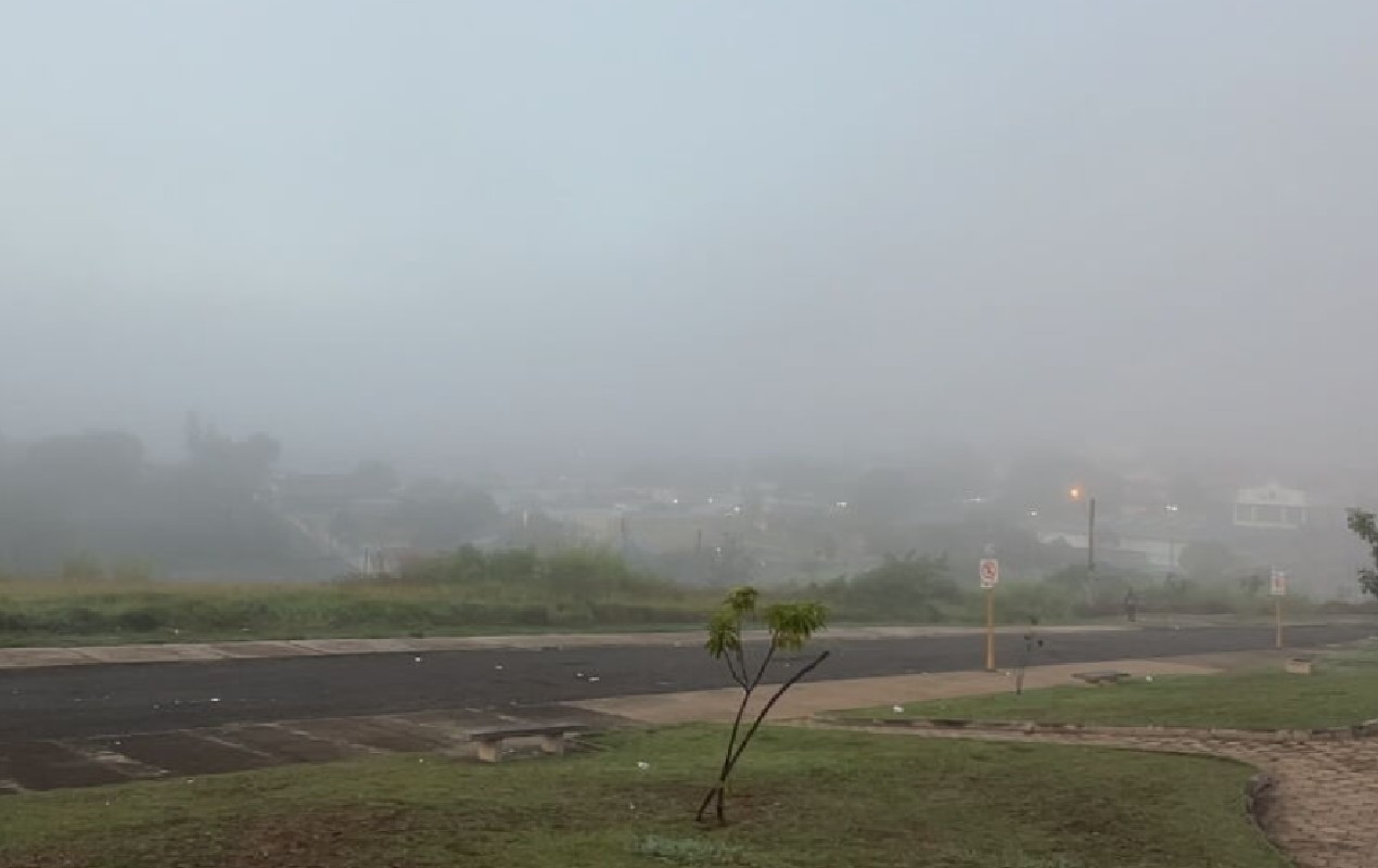 Cidades do centro-oeste paulista têm registro de neblina e temperaturas abaixo de 10°C; veja fotos