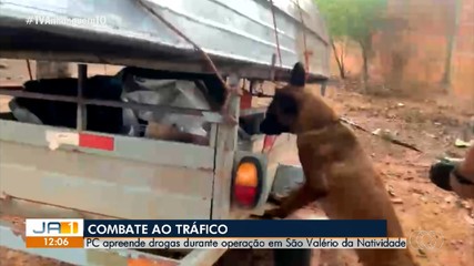 Operação contra o tráfico de drogas mobiliza quase 30 policiais em São Valério