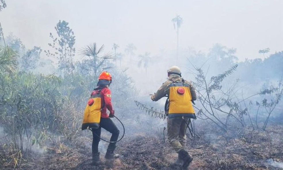Bombeiros tentando apagar focos de incêndio no interior do Amazonas — Foto: CBMAM