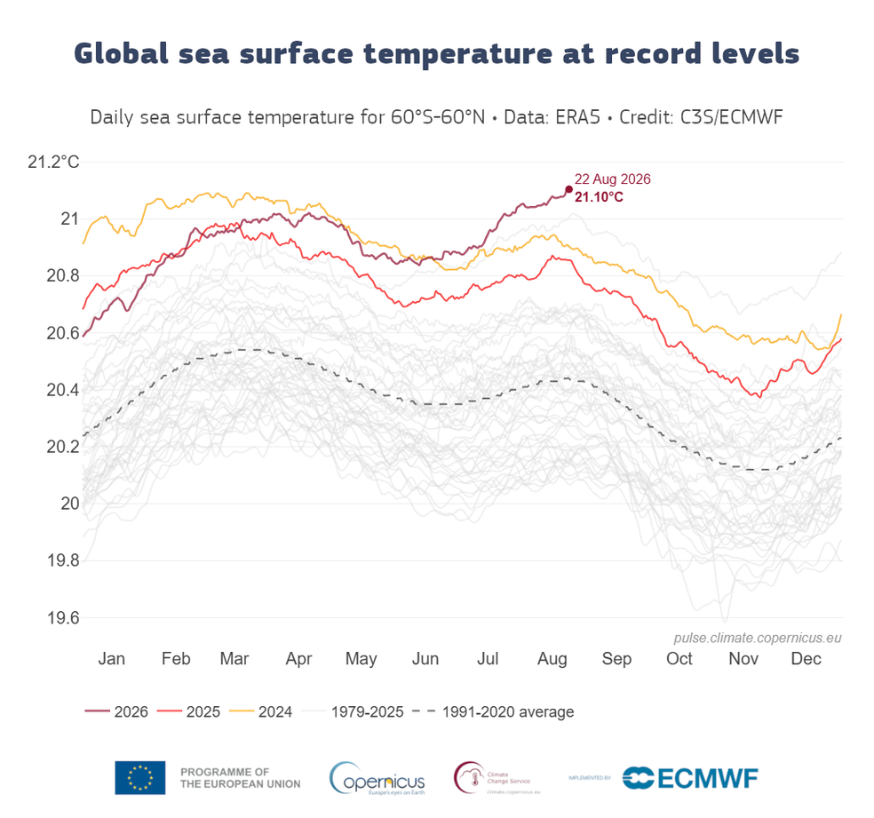 Mundo: la temperatura de los océanos alcanza un récord y reabre la comparación con el calor de hace 125.000 años