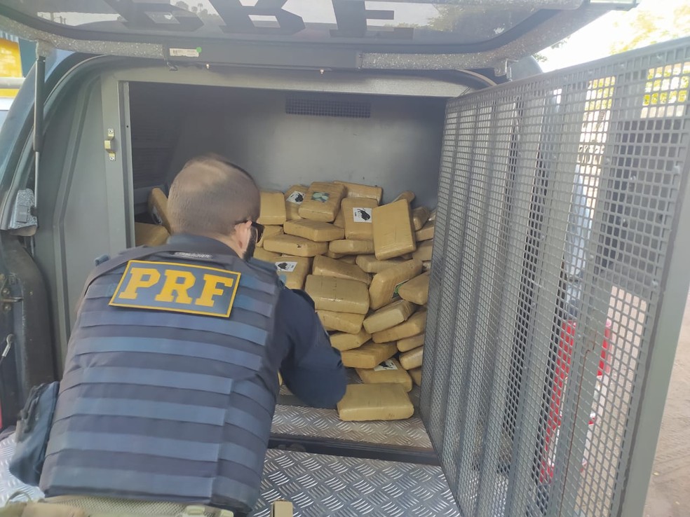 Quase 200 kg de maconha do tipo skunk são apreendidos em caminhão de mudança na BR-010, em Imperatriz — Foto: Divulgação/PRF