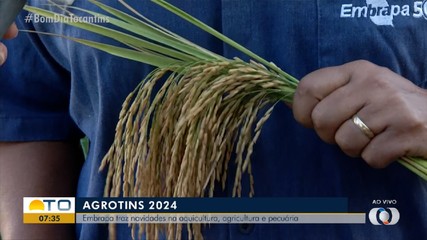 Embrapa leva novidades sobre espécies de plantas para Agrotins 2024