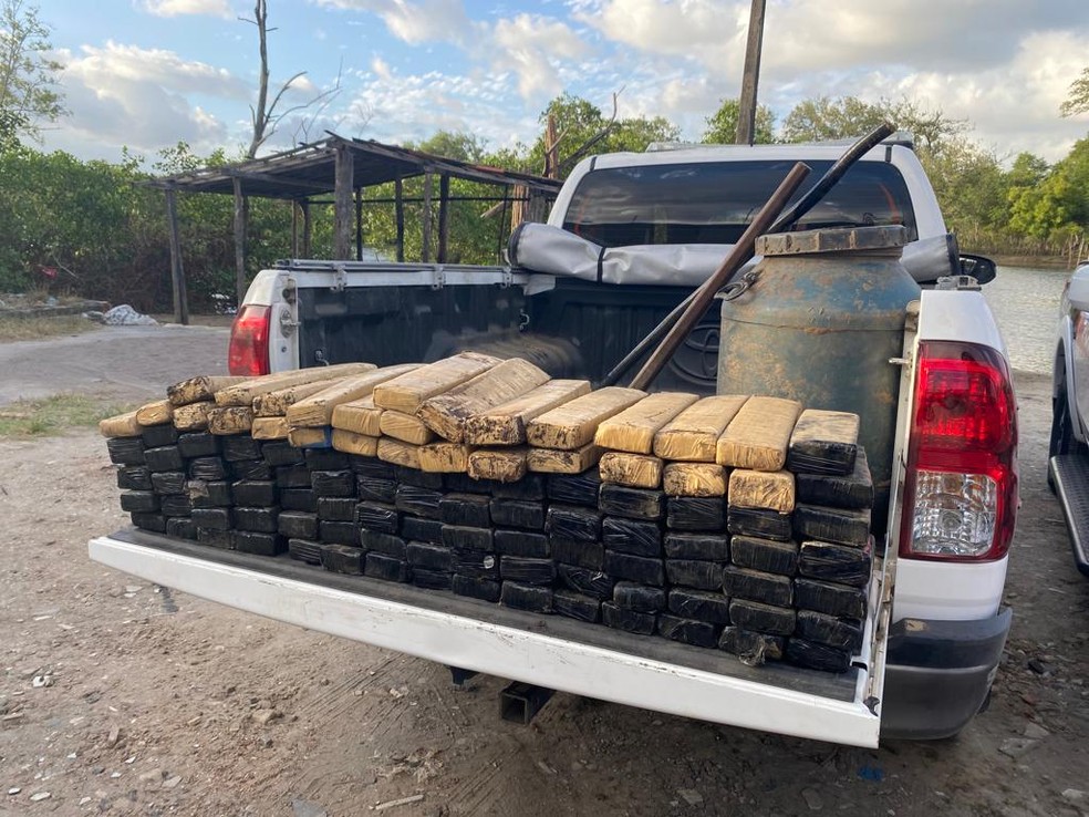 Operação da Polícia Militar apreende mais de 100 kg de maconha em região de mangue em Bayeux, na Grande João Pessoa. — Foto: Divulgação/Polícia Militar