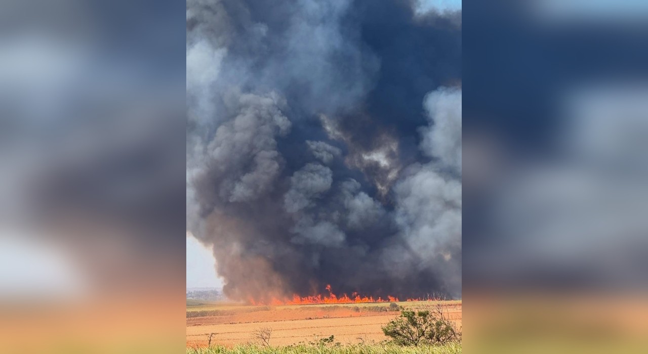 Incêndio de grande proporção atinge área de mata às margens da SP-127 em Tatuí; vídeo