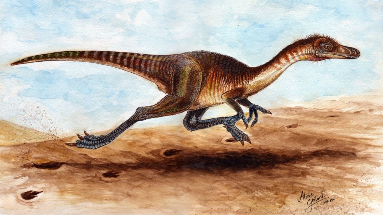 Nova espécie de dinossauro que viveu em Araraquara é descoberta em pesquisa da UFSCar e da UFRJ