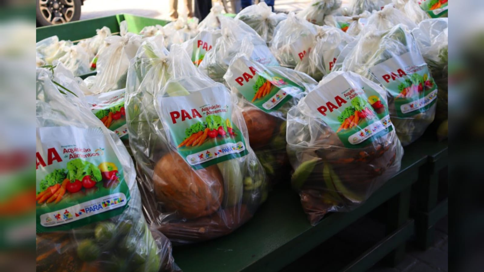 Programa de Aquisição de Alimentos beneficia mais de 200 famílias em Oriximiná