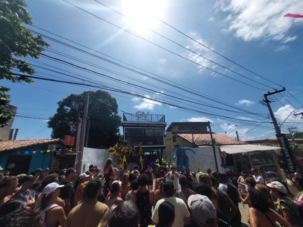 Moradores de Pipa fazem protesto contra empreendimento no Chapadão  — Foto: Gabriela Lyra/Cedida
