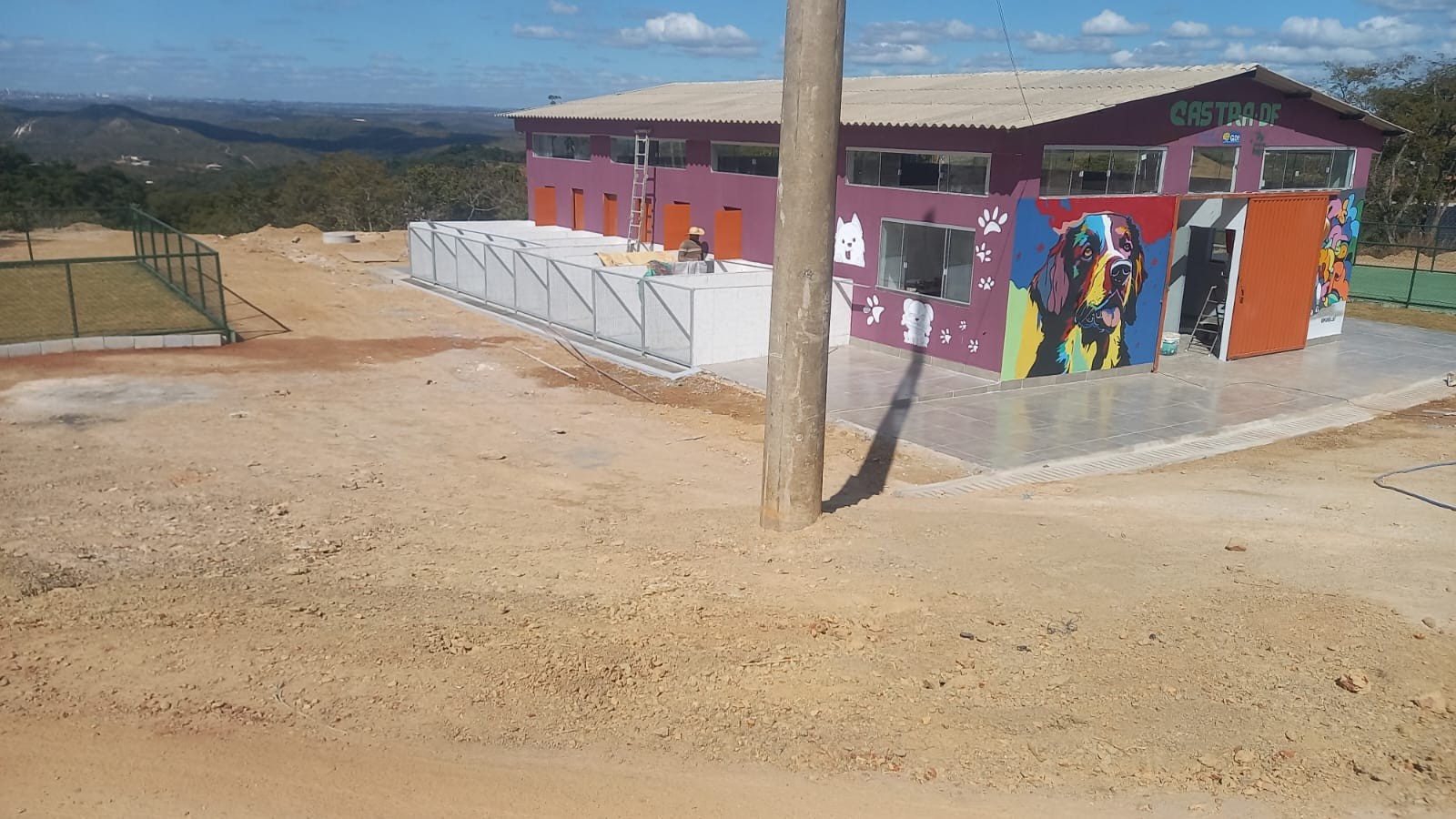 GDF vai castrar, vacinar e colocar chip em animais de rua