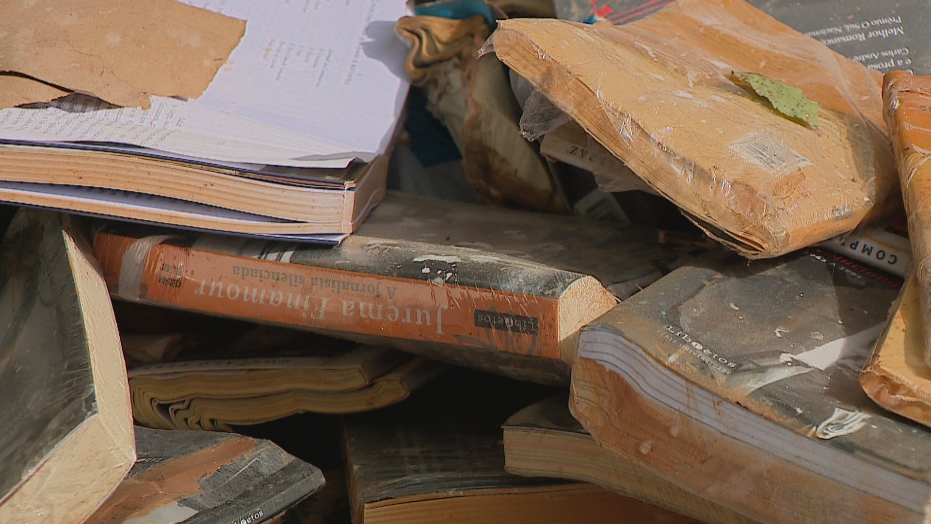 Enchentes destruíram 100 mil livros no RS, estima Secretaria da Cultura; saiba como doar obras para bibliotecas atingidas