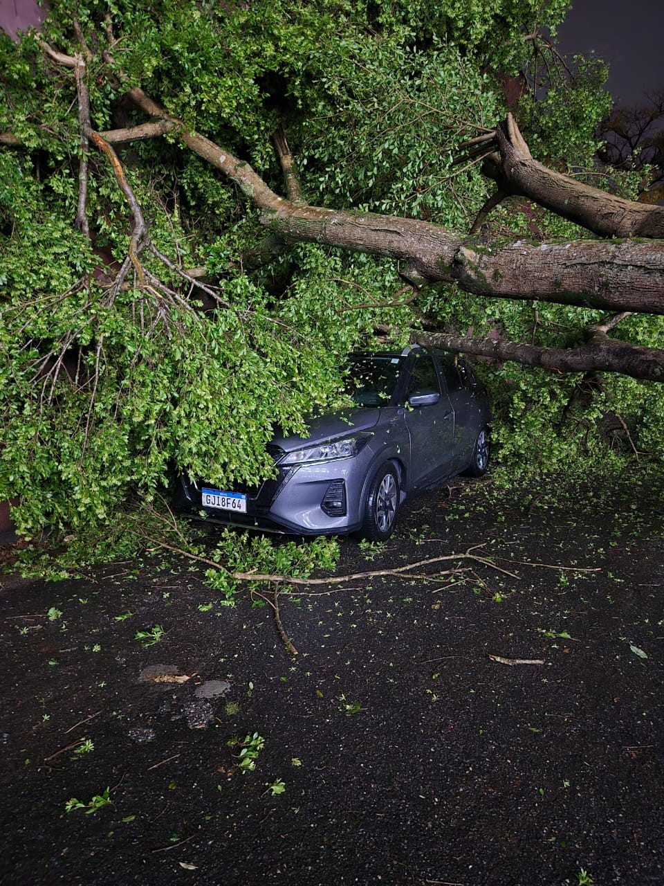 Você Não Tá Convidada pro Meu Bat Mitzvá!