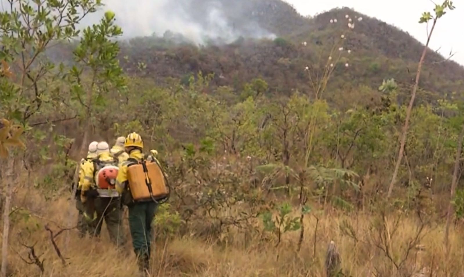 Incêndio volta a atingir o Parque Nacional da Chapada dos Veadeiros