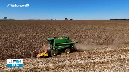 Veja os destaques do Globo Rural deste domingo (12)