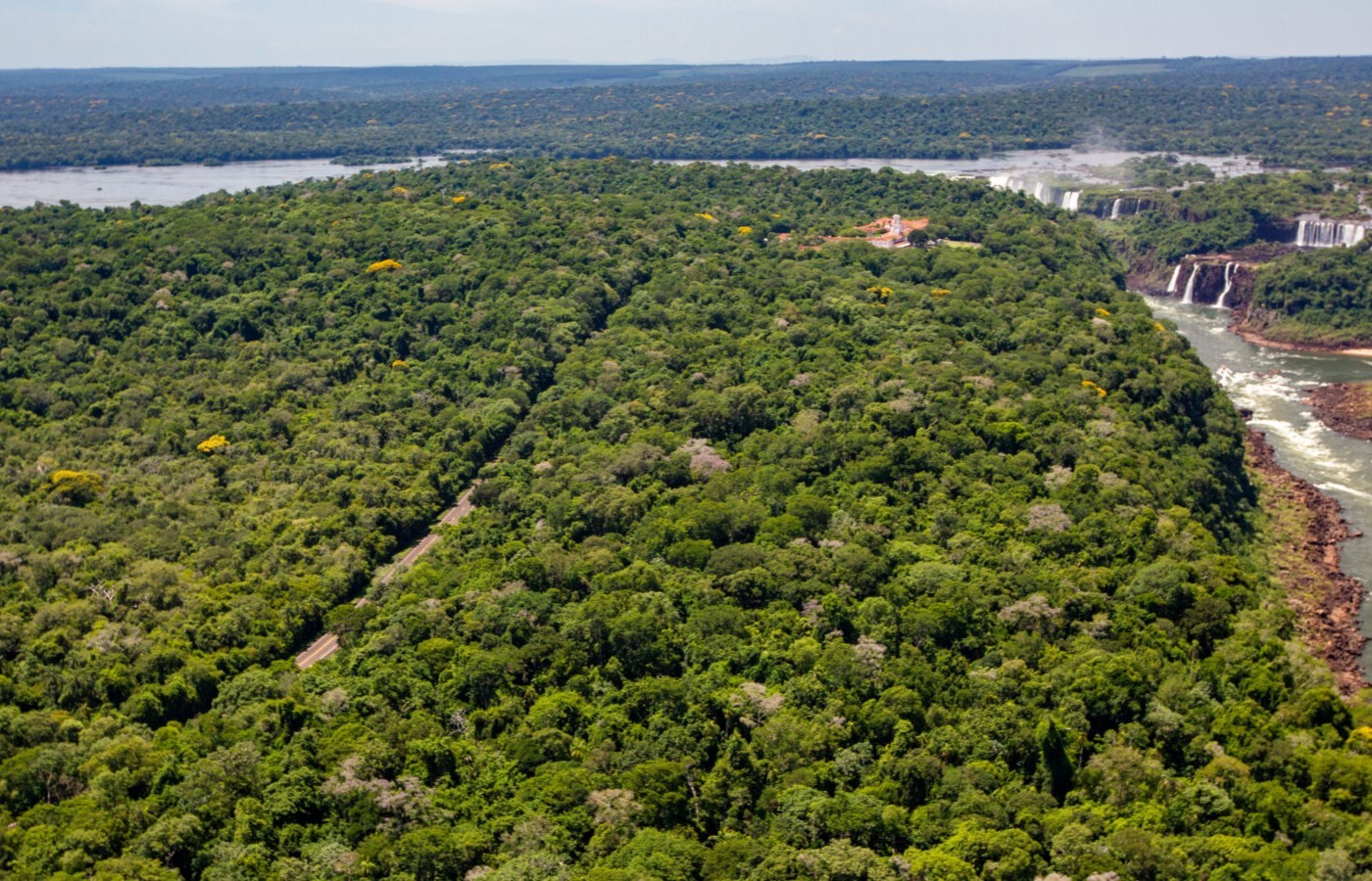 Uiraçu é registrado pela primeira vez em vídeo no Parque Nacional do Iguaçu