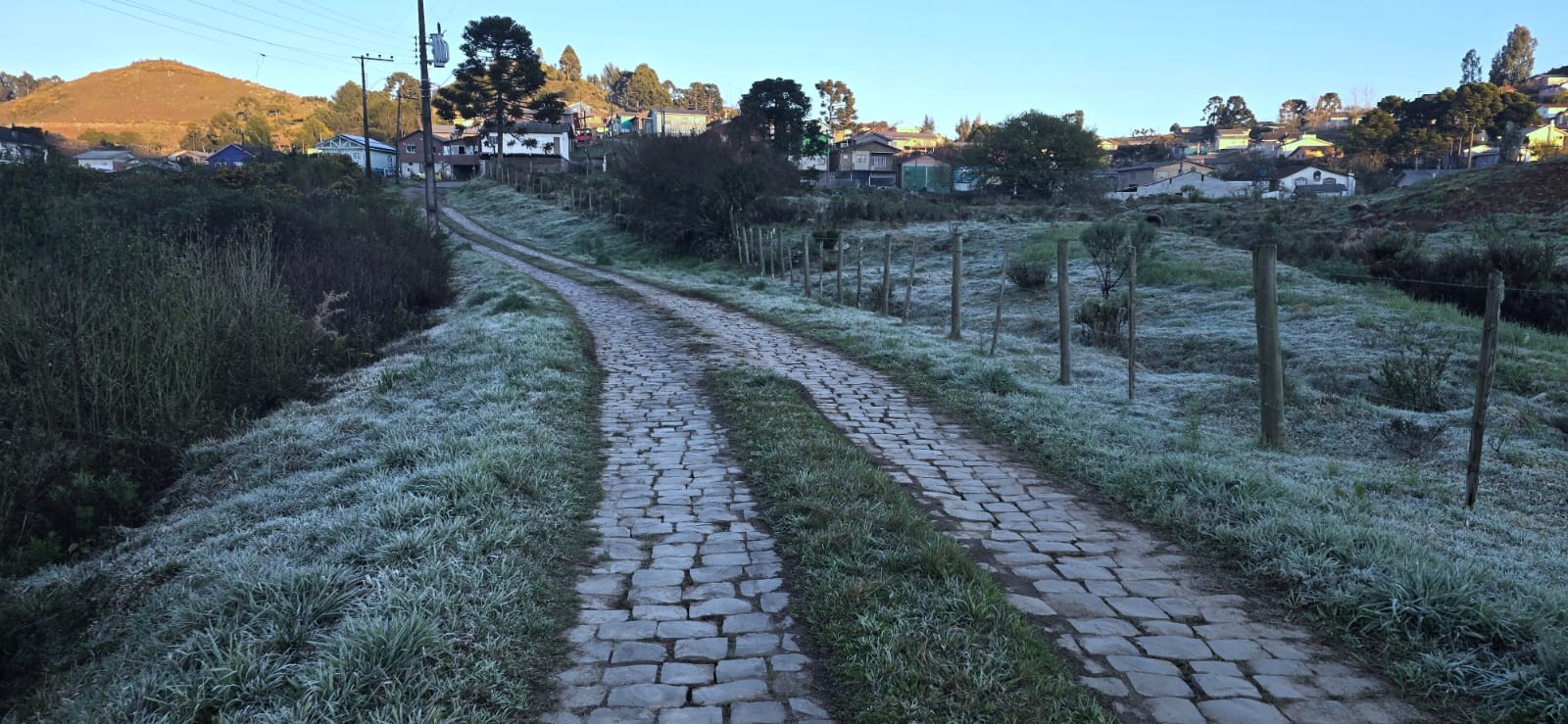 Frio de -1°C na Serra de SC 'congela' campos e forma geada