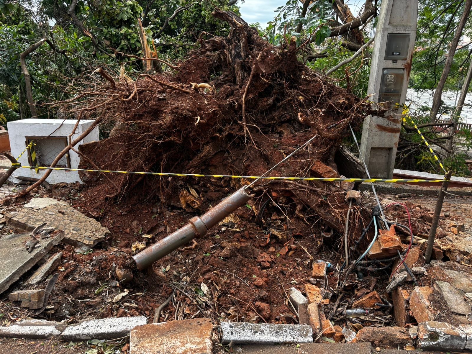 Trabalho de limpeza no Parque do Mirante deve durar 40 dias e Aquário de Piracicaba segue fechado após temporal