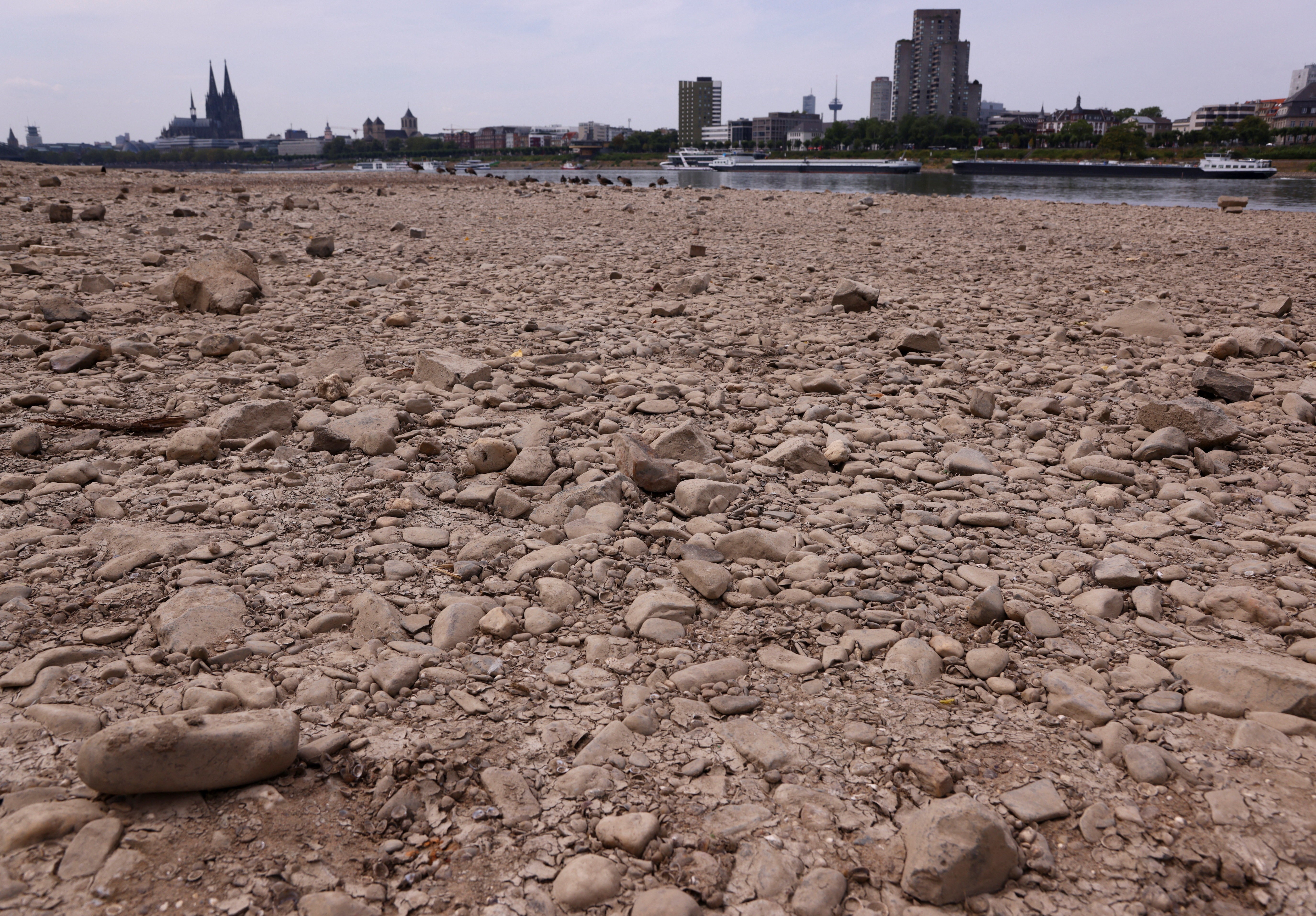 Com incêndios, mortes e rios em níveis críticos, Europa enfrenta sua 4ª onda de calor desde maio; entenda as causas