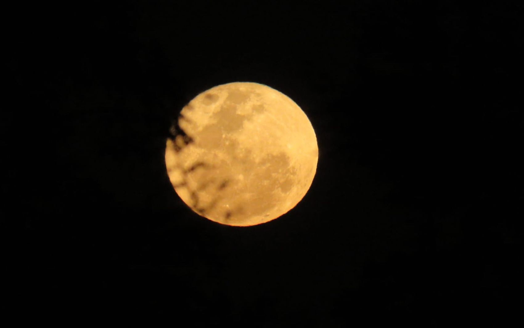 ‘Lua do Veado’: entenda história por trás de lua que ocorre uma vez por ano