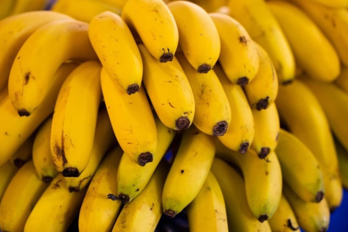 
Cientistas criam banana que demora mais a escurecer ao ser cortada