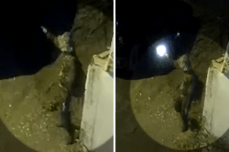VÍDEO mostra homem fazendo disparos contra carro e porta de casa no Litoral Norte de SP