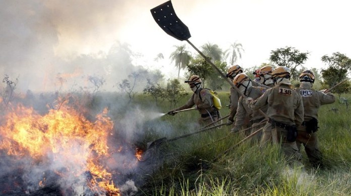 Escassez de água e fogo subterrâneo dificultam combate a incêndio no  Pantanal de MT perto da fronteira com a Bolívia, Mato Grosso