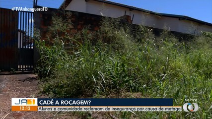 Matagal próximo de escola causa preocupação em moradores de Taquaralto