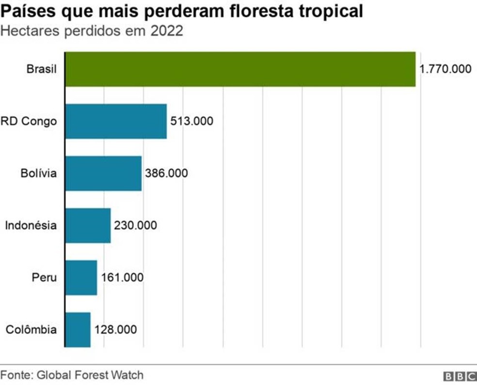 Países que mais perderam floresta tropical — Foto: BBC