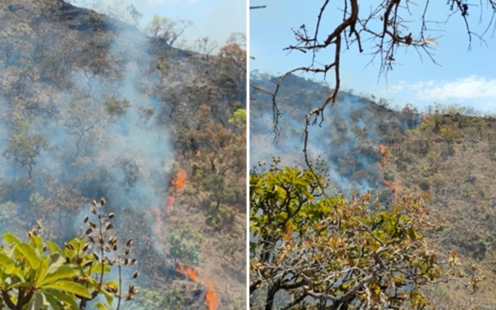 Incêndio atinge reserva indígena Avá-Canoeiro