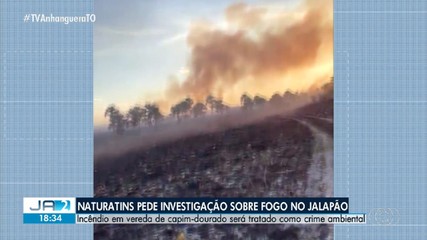 Naturatins pede investigação sobre fogo no Jalapão