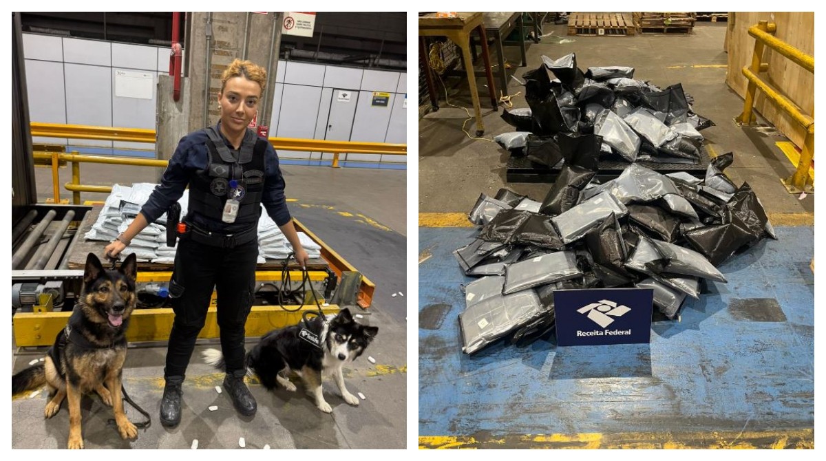 Cães farejadores encontram 280 kg de haxixe no aeroporto de Guarulhos