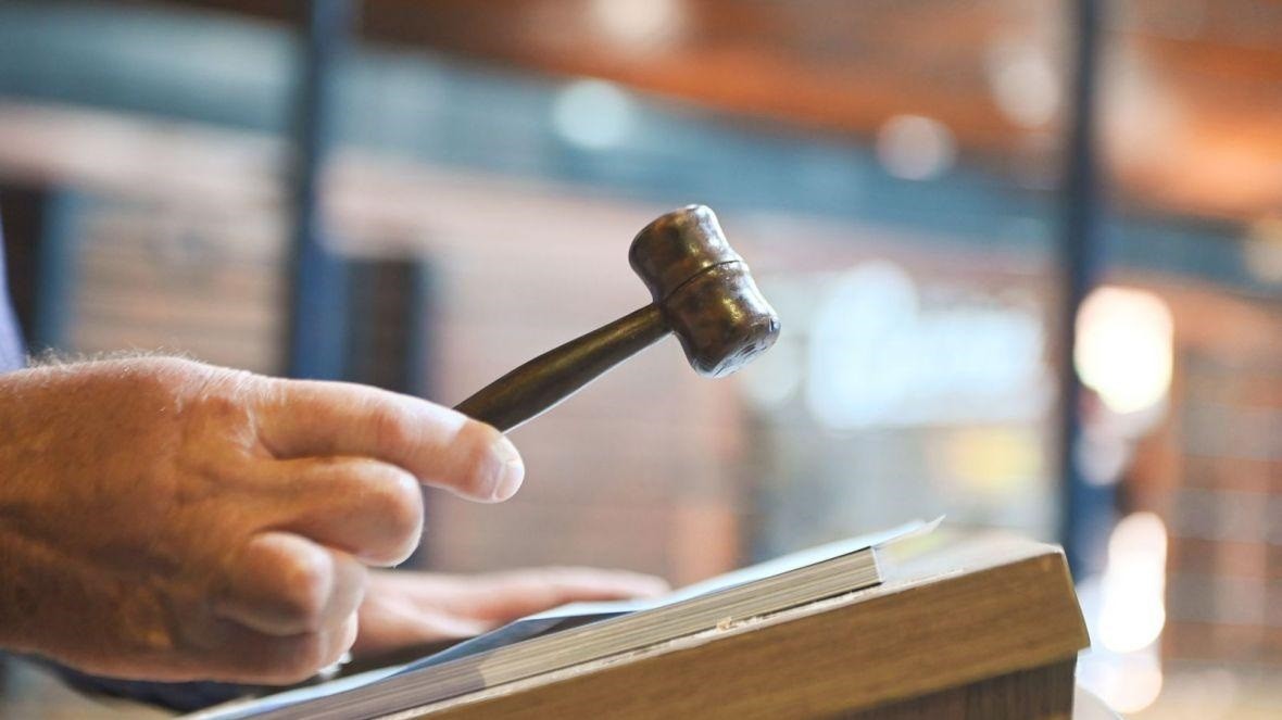 Primeiro leilão oficial da 91ª ExpoZebu movimenta mais de R$ 615 mil