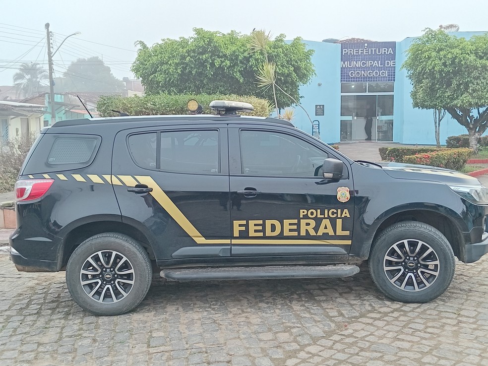 Polícia Federal fez operação na cidade de Gongogi — Foto: Divulgação/Polícia Federal