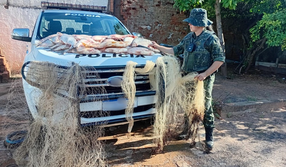 Polícia Ambiental doa 52 kg de peixes apreendidos em cachoeira para a Casa dos Velhos de Dracena (SP) — Foto: Polícia Militar Ambiental/Divulgação