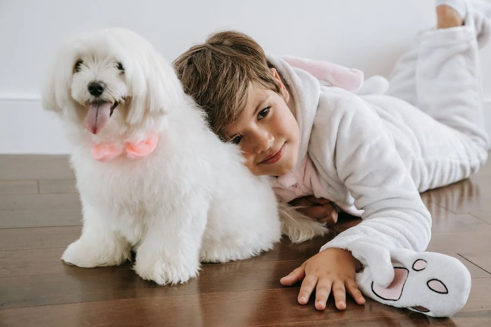 Cuidados com cães auxiliam adolescentes com ansiedade social a lidarem melhor com o estresse