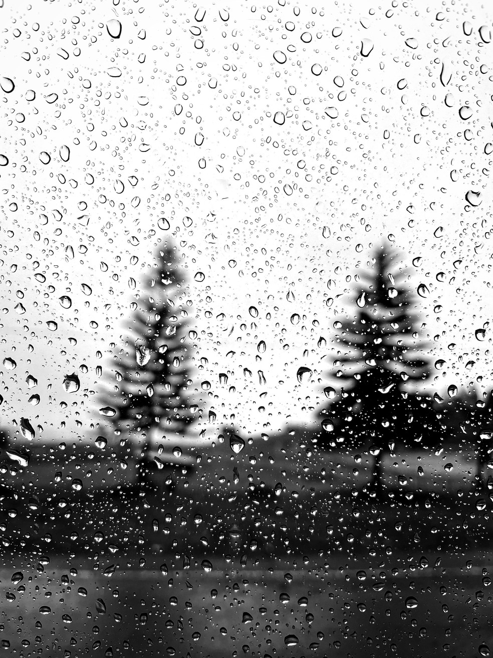 Previsão indica que Natal será chuvoso em Rondônia — Foto: Unsplash/Jess