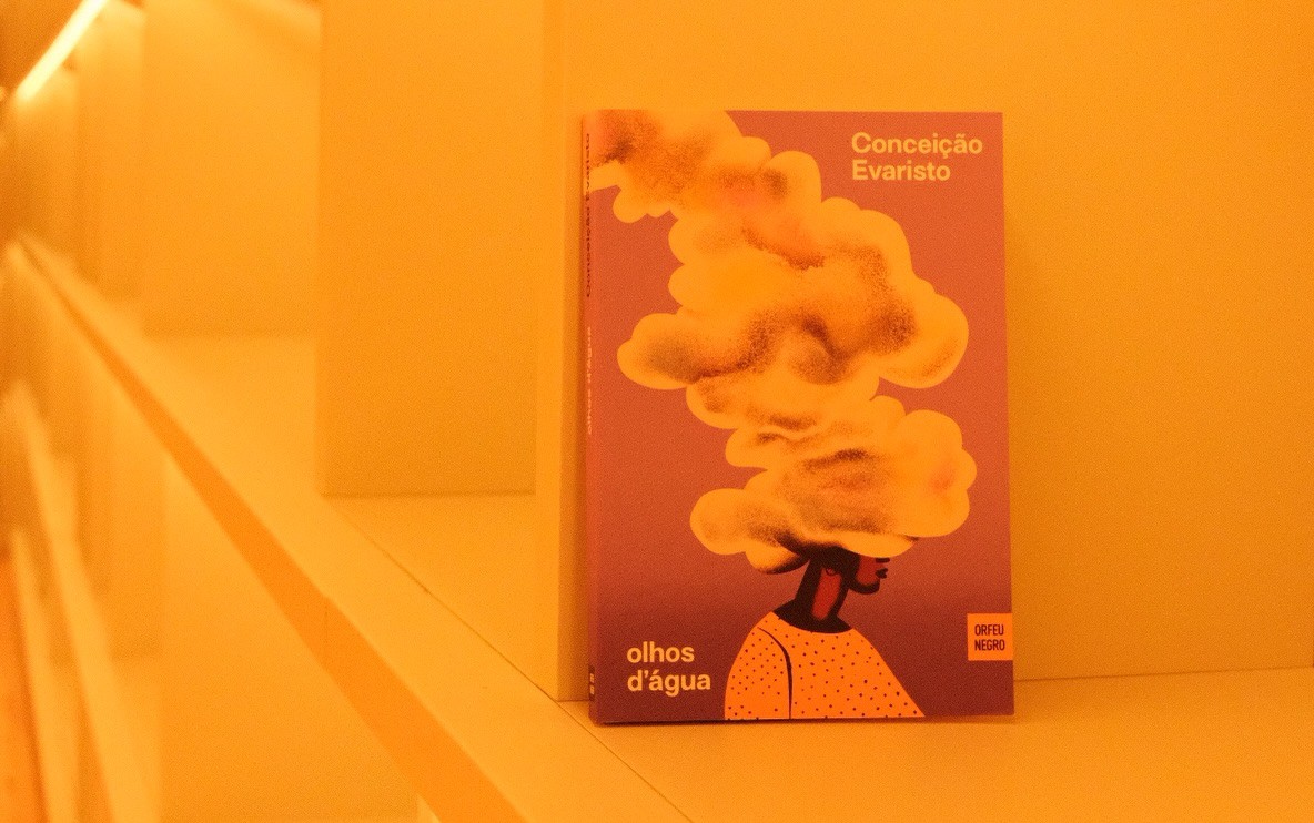 Livro selecionado para inaugurar biblioteca de Dua Lipa foi censurado em escola de Salvador