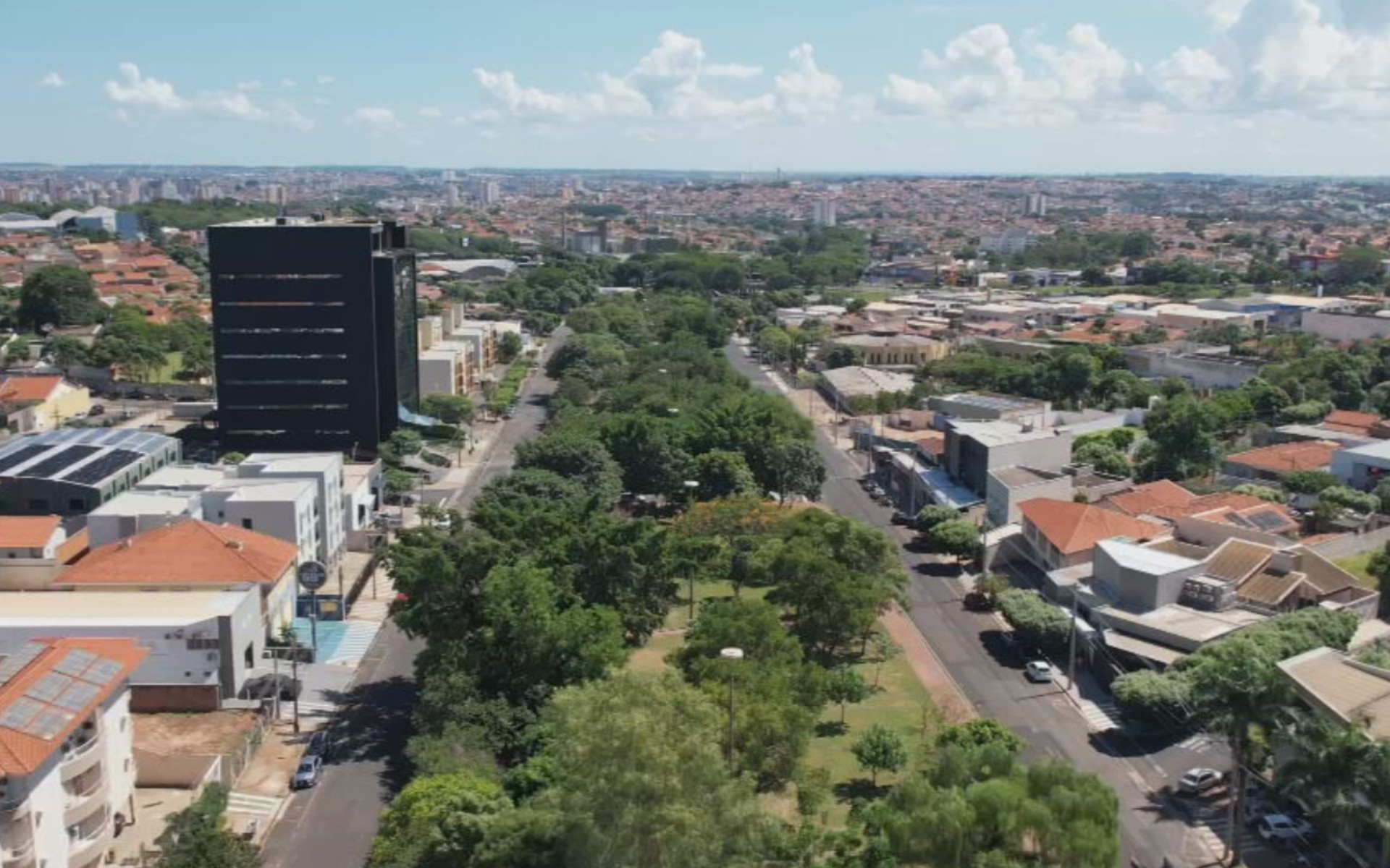 Projeto de revitalização e combate a enchentes prevê retirada de 943 árvores em avenida de Rio Preto