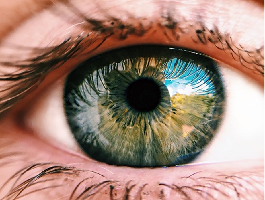 Descolamento de retina pode afetar até 3% das crianças – Jornal da USP