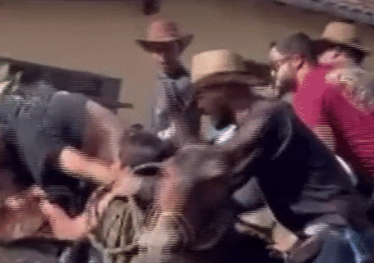Homem é espancado durante romaria a cavalo em MG; VÍDEO