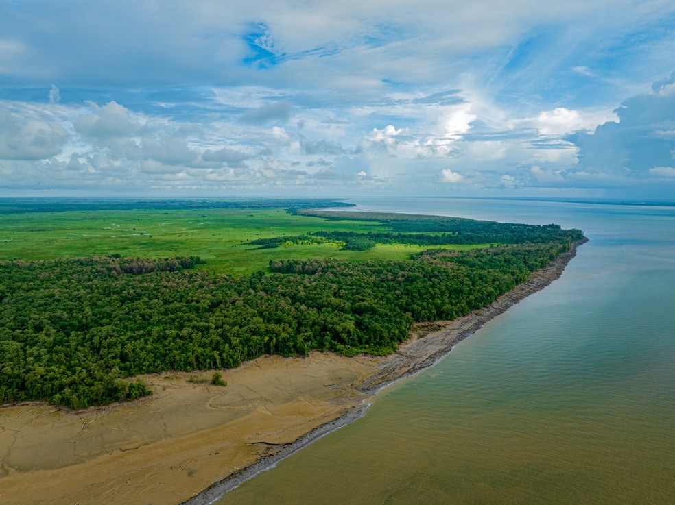 Bacia da Foz do Amazonas: conheça área no centro da discussão sobre a  exploração de petróleo no Amapá | Amapá | G1