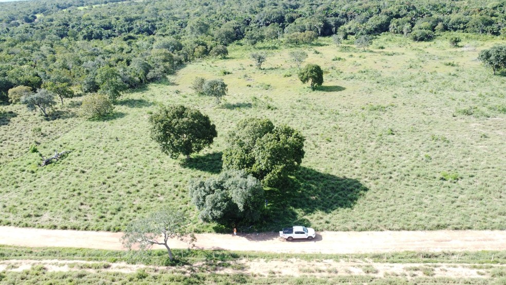 Equipes fazem buscas por mecânico agrícola em região de mata — Foto: João Carlos Lopes/Secretaria Municipal de Meio Ambiente de Talismã