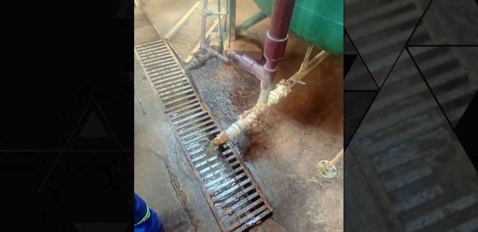 Imagens do relatório mostram a inspeção sanitária realizada no fim de abril na fábrica da Ypê — Foto: Reprodução