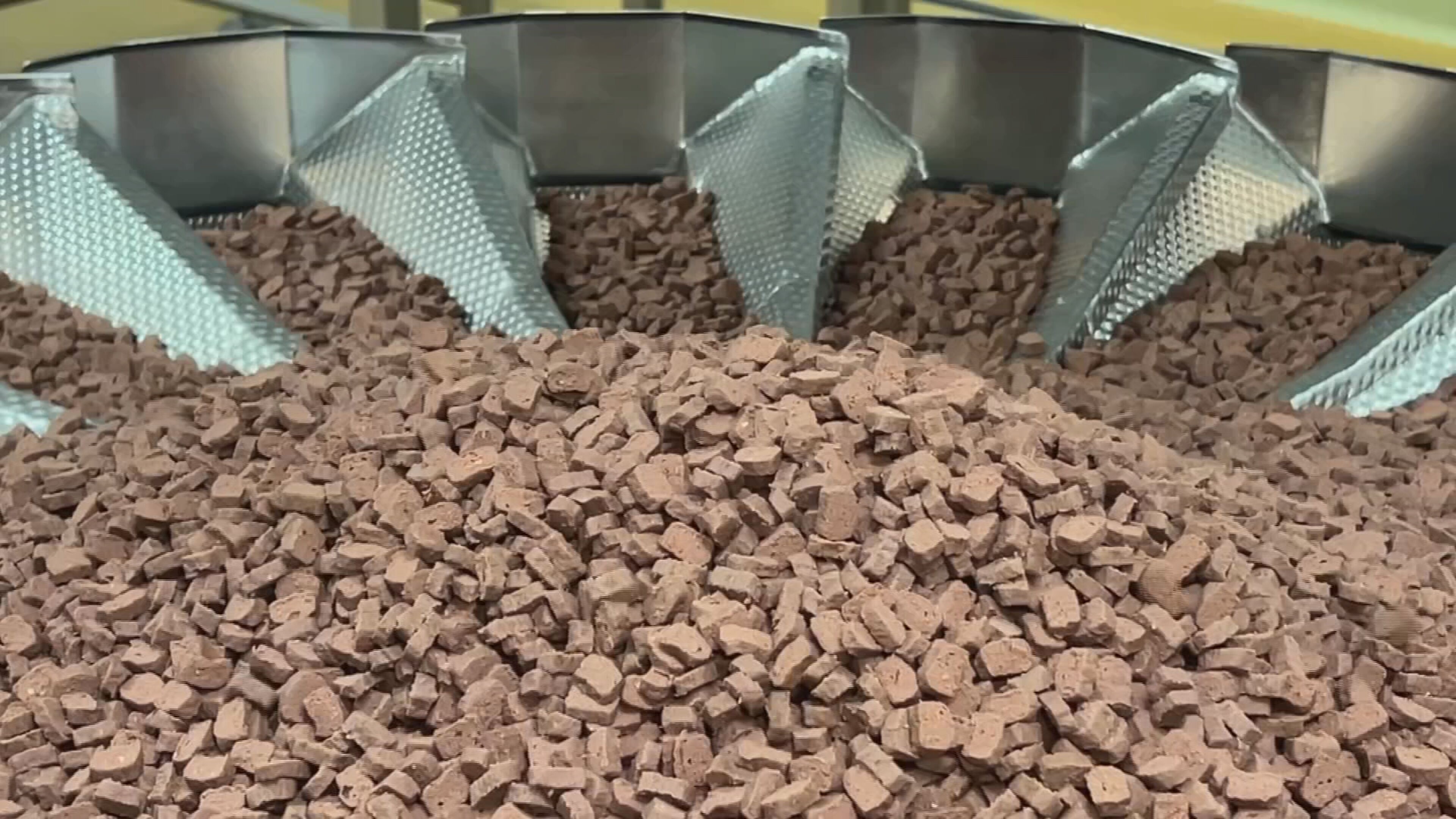 Você Não Tá Convidada pro Meu Bat Mitzvá!