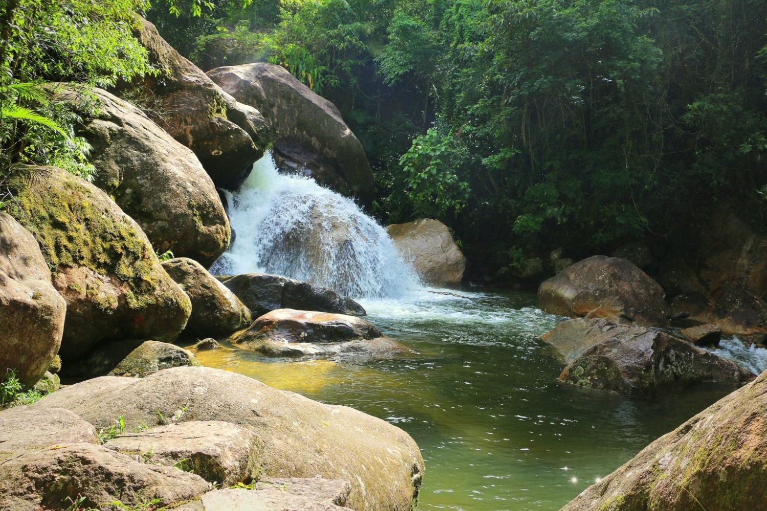 Governo de SP ampliará área do parque Serra do Mar; entenda