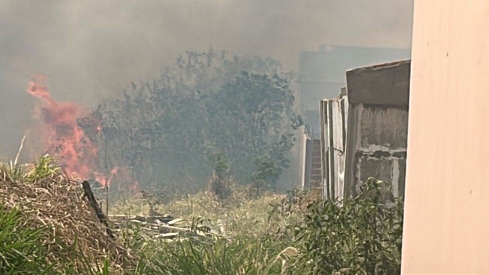 Incêndio volta a atingir área da Mata do Furquim em Presidente Prudente (SP) — Foto: Paula Sieplin/TV Fronteira