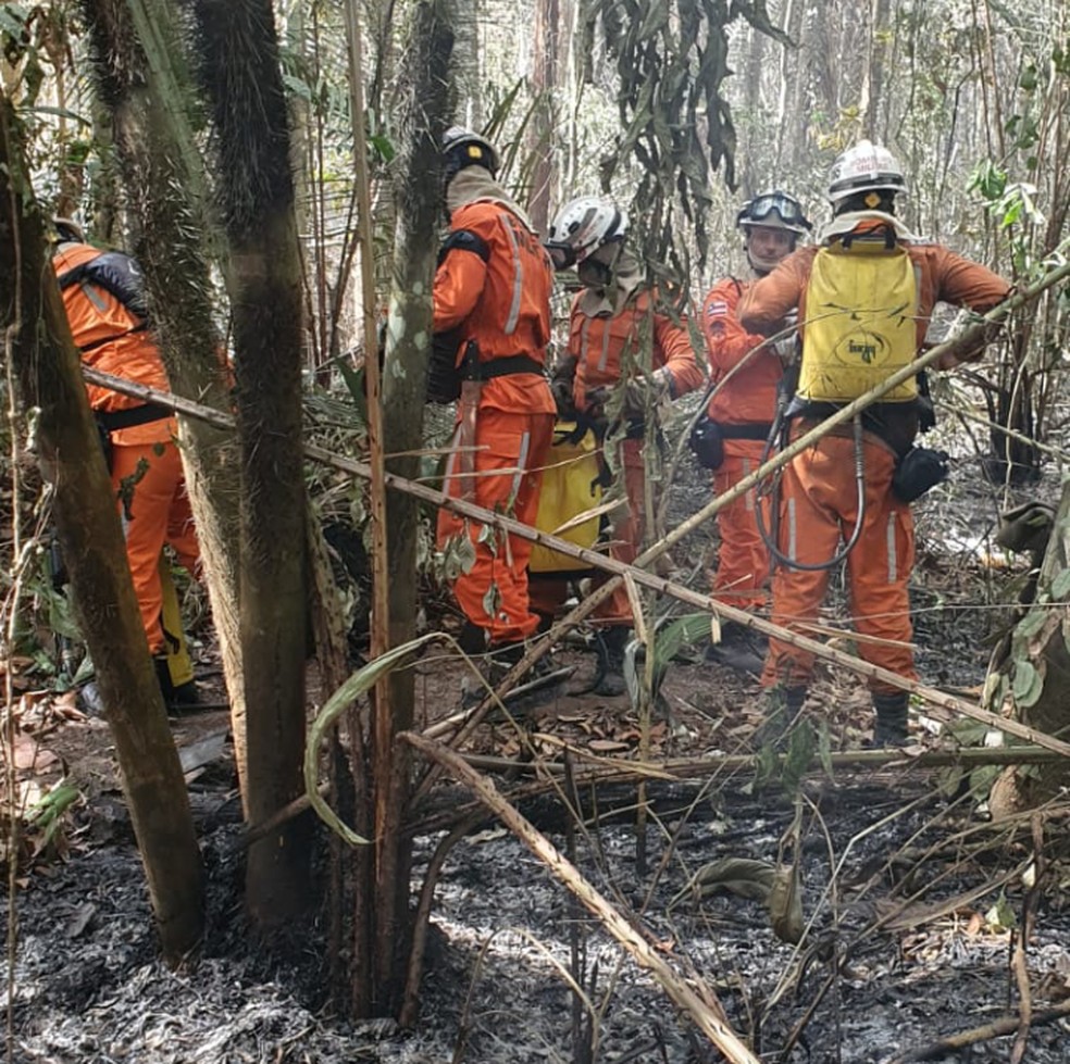 Incêndio atinge área de vegetação em Itamaraju, no extremo sul da Bahia — Foto: Reprodução/Corpo de Bombeiros