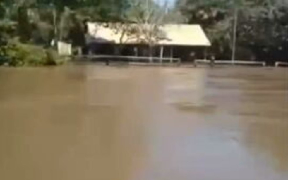 Casa alagada aps Rio Araguaia transbordar em So Miguel do Araguaia  Foto: Reproduo/TV Anhanguera