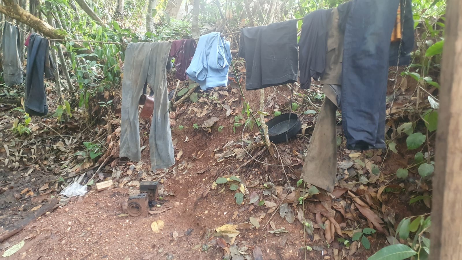 Grupo em trabalho análogo à escravidão é resgatado em área isolada de MT — Foto: MTE
