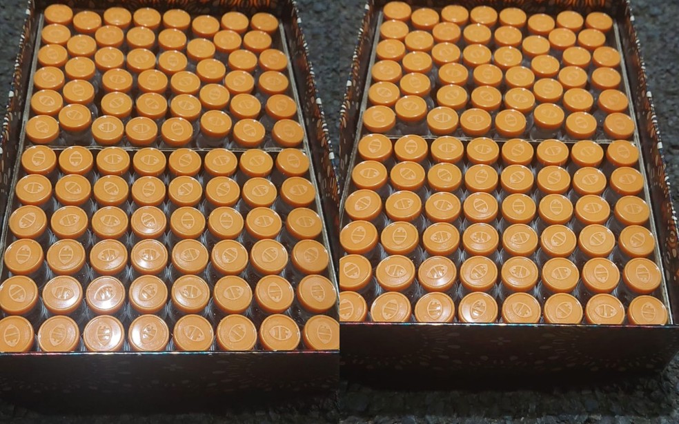 Apreens&atilde;o ocorreu na BR-153 em Jos&eacute; Bonif&aacute;cio (SP) &mdash; Foto: TV TEM / Rodrigo Carraro