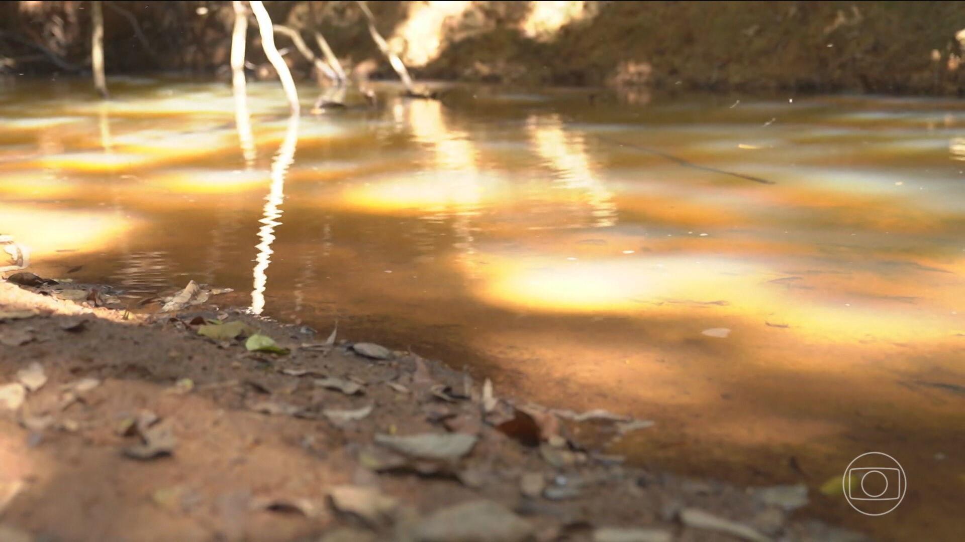 Desmoronamento de lixão contamina rios em Goiás e expõe riscos semelhantes em 2 mil municípios