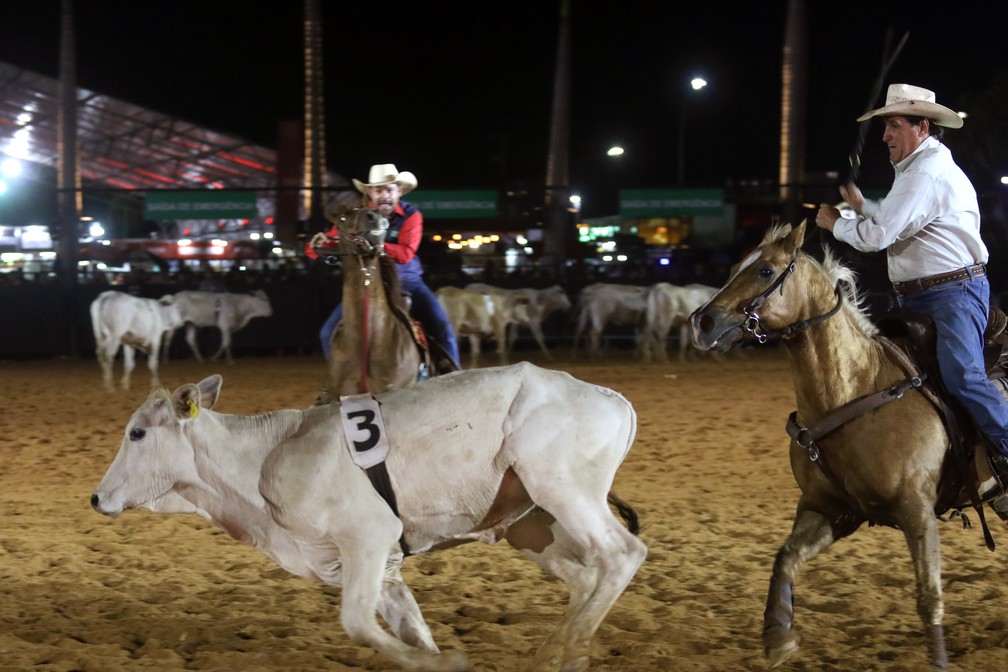 🚨ATENÇÃO🚨 Evite contas falsas - Jaguariúna Rodeo Festival